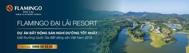 Forest In The Sky lung linh giữa không gian Đại Lải về đêm