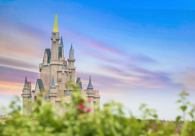 66460424_1169263686577982_8025437333660631040_o