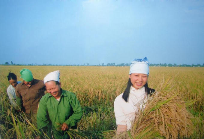 Niềm vui được mùa. (Ảnh minh họa)