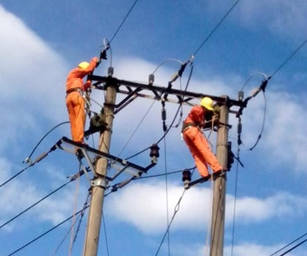 Ảnh minh họa. Nguồn: Internet.