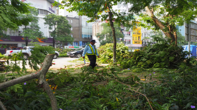 Tháng 10-2016, 109 cây trong đó có khoảng 100 cây xà cừ cổ thụ trên đường Kim Mã (đoạn hồ Thủ Lệ) đã được chặt hạ và đánh chuyển về vườn ươm ở xã Đa Tốn (H.Gia Lâm) để phục vụ thi công tuyến đường sắt ga Hà Nội - Nhổn.