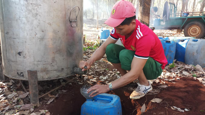Chiết mật ong từ thùng lớn ra can