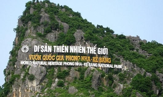 Rừng Phong Nha &ndash; Kẻ B&agrave;ng: Bị l&ugrave;ng sục để khai th&aacute;c gỗ hương gi&aacute;ng