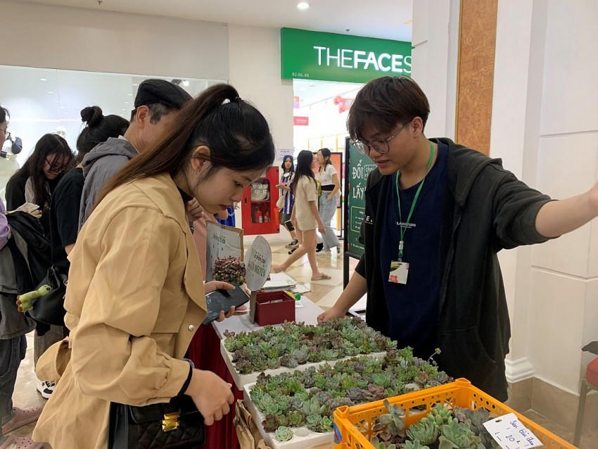 Việc đổi chai nhựa cũ lấy sen đá thu hút rất nhiều bạn trẻ đến đây