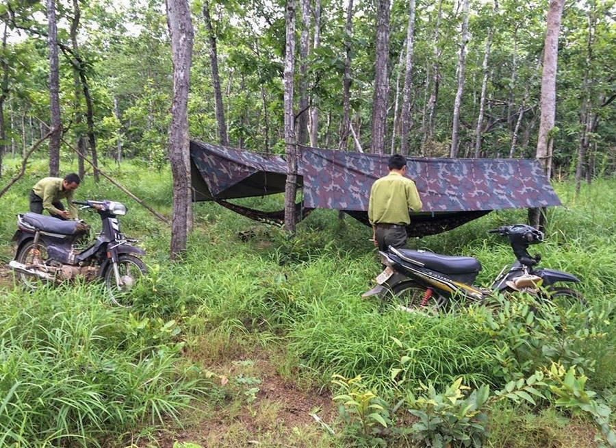 AA