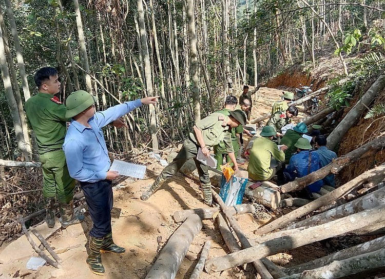 Các cơ quan tiến hành khám nghiệm hiện trường. (Ảnh: Báo BVPL).