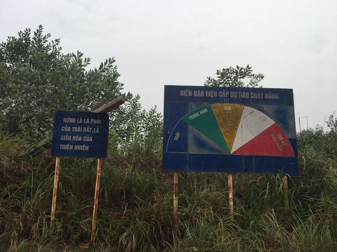 Đường sau tấm biển cảnh báo rừng phòng hộ là hàng chục công trình đang xây dựng và nhiều biệt thư, lâu đài đang gấp rút hoàn thiện