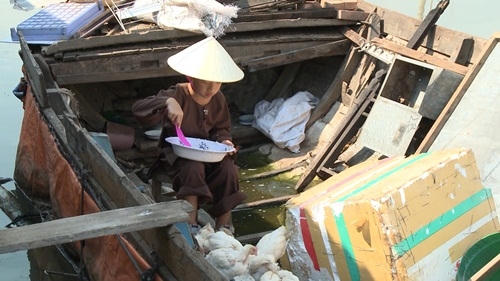 Tốt Ti hào hứng cho gà ăn.