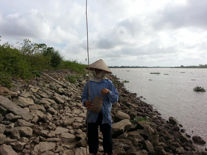 Nghề câu cáy đã gắn bó với bác Na hơn 50 năm.