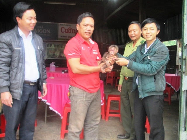 Chủ nhà hàng chủ động giao Khỉ mặt đỏ cho cán bộ trung tâm bảo tồn.
