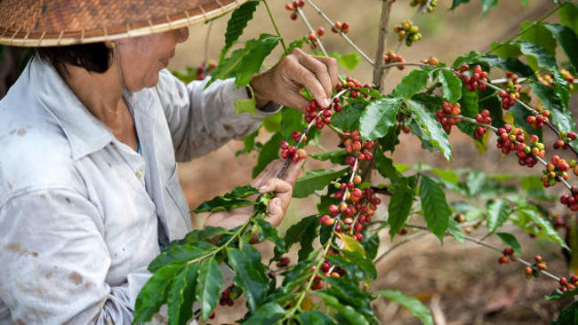 Anh234.