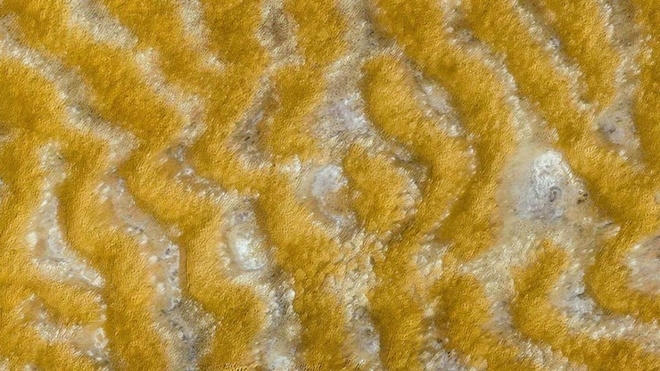 Quang cảnh sa mạc Boutilimit thuộc Mauritania, châu Phi.