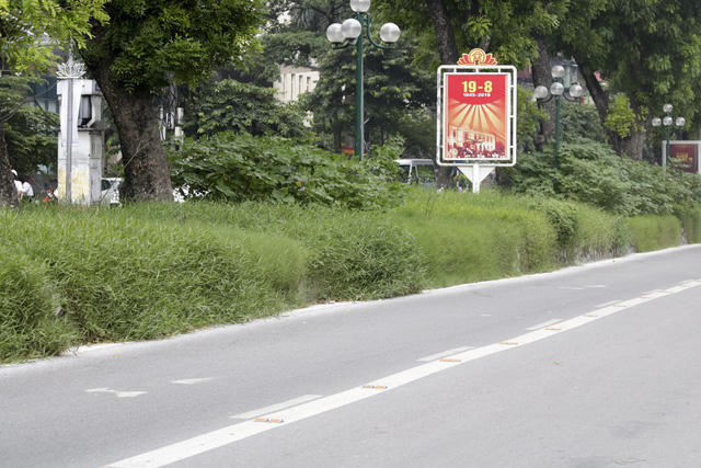 Cỏ mọc dày và tràn xuống dưới lòng đường Giảng Võ cả một đoạn dài hàng trăm mét.