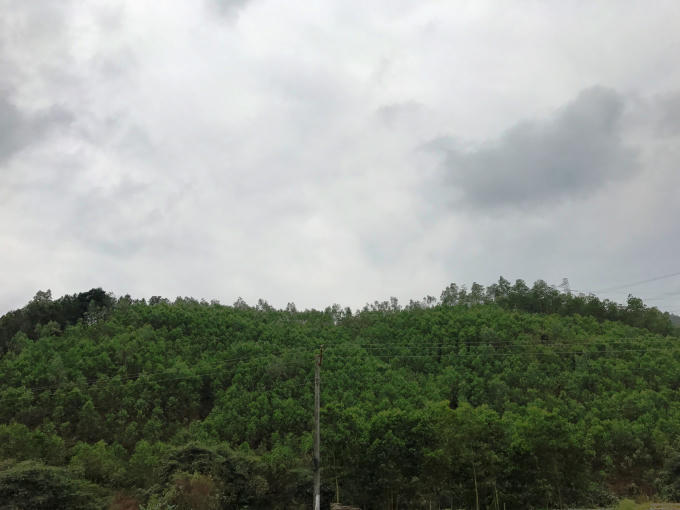 Kỳ 4: Sự sống hồi sinh trên đất mỏ sau nạn núp bóng dự án để… ăn cắp “vàng đen”