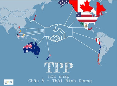 Việt Nam cam kết xóa bỏ gần 100% dòng thuế khi gia nhập TPP. (Ảnh: Internet)