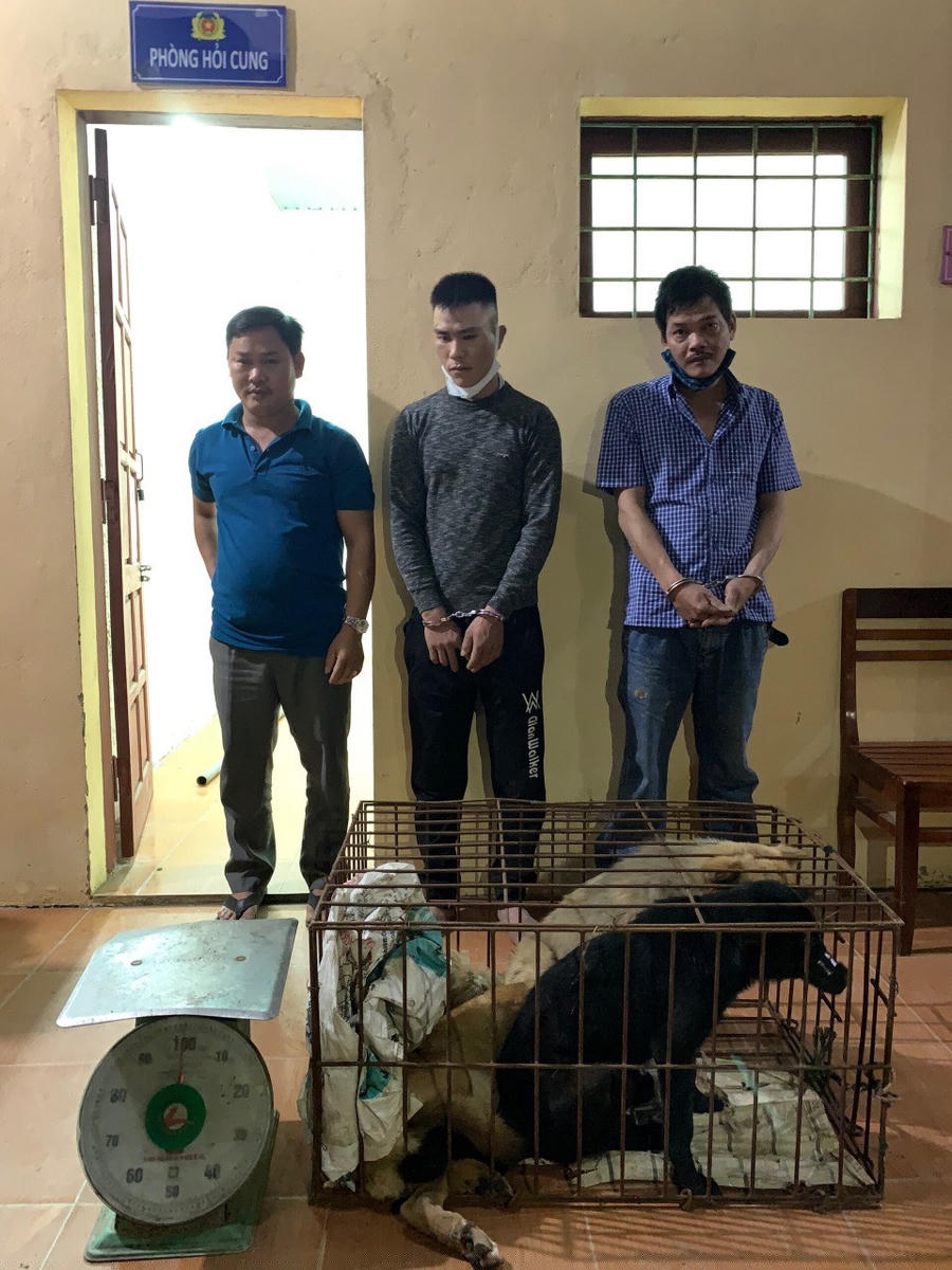 Các đối tượng có liên quan trong vụ việc trộm chó và tiêu thụ chó gây nhức nhối tại địa phương.
