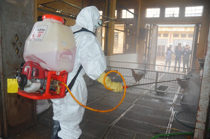 C&aacute;n bộ Chi cục th&uacute; y phun h&oacute;a chất tại khu vực chợ. Ảnh: V&acirc;n Nguyễn