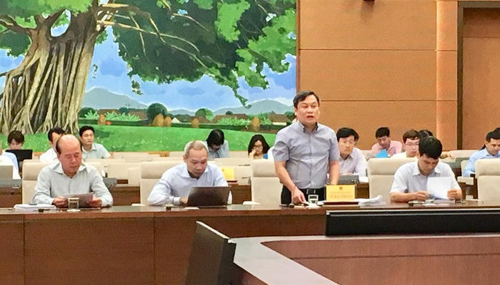 Thứ trưởng Bộ Kế hoạch và Đầu tư Vũ Đại Thắng trình bày báo cáo dự án luật tại phiên thẩm tra của Uỷ ban Kinh tế.