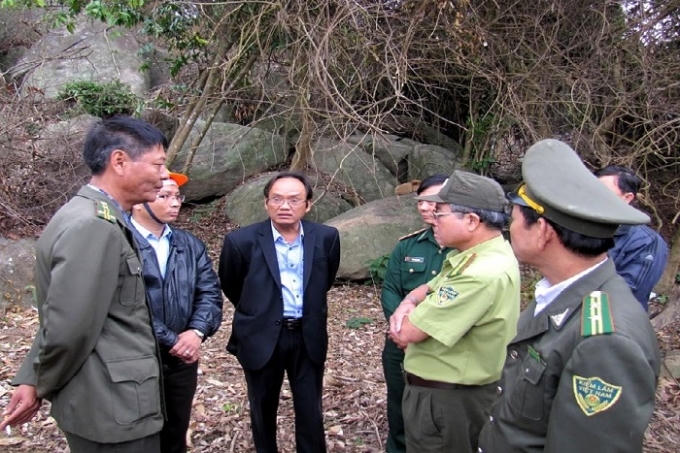Lãnh đạo TP Đà Nẵng đi kiểm tra rừng Sơn Trà sau khi vụ phá rừng được người dân phản ánh.