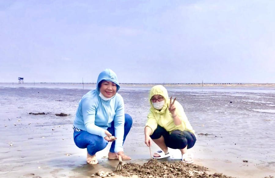 Chị D.T.T một du khách cho biết: “Hoạt động này khá mới lạ, nghe nói nhiều nhưng đây là lần đầu tôi tham gia tự mình đào nghêu, tôi cảm thấy rất thú vị. Nếu địa phương quản lý và phát triển tốt mô hình này, tôi tin sẽ có rất nhiều khách du lịch tìm đến để được trải nghiệm”.