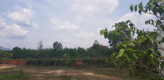 Khu đất ở xã Xuân Hưng, huyện Xuân Lộc từng một thời diễn ra hoạt động