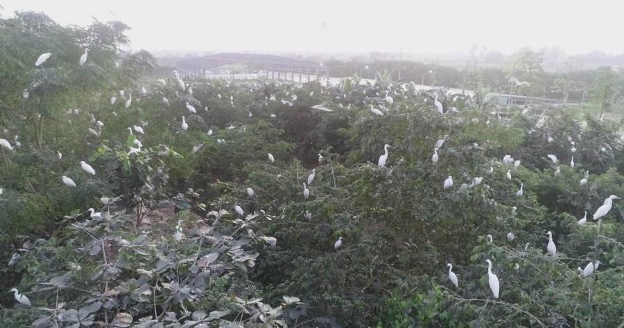 321060194_1345296179638761_7748433752769592511_n