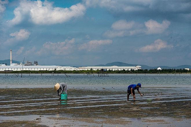 Phụ nữ ở x&atilde; đảo b&aacute;m s&ocirc;ng Trường Giang lượm ốc mưu sinh.