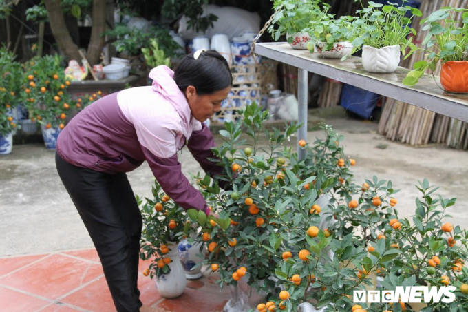 Theo bà Mai, nhiều lần xem trên tivi, thấy nông dân trong miền Tây cho ra mấy quả dừa, bưởi hình hồ lô nên cũng bắt chước làm theo.