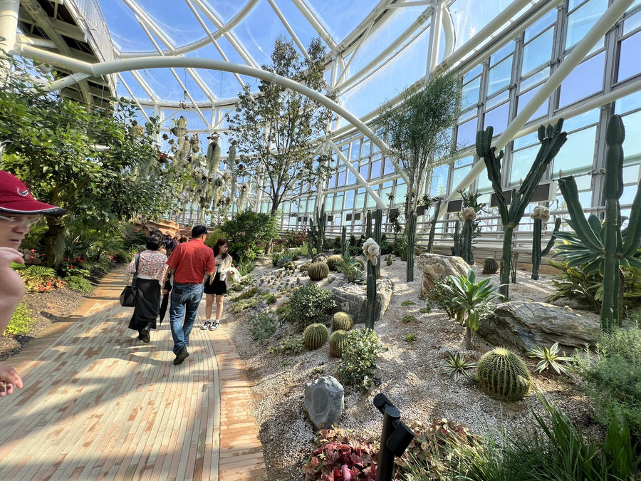 z4746156331833_b83efc119912e7858c8321792e936bec