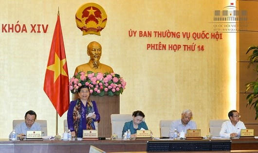 Phó Chủ tịch Quốc hội Tòng Thị Phóng phát biểu tại phiên họp.