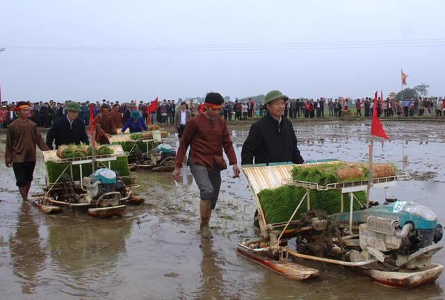 Ông Trịnh Văn Chiến - Bí thư Tỉnh ủy Thanh Hóa đi cấy cùng bà con nông dân.