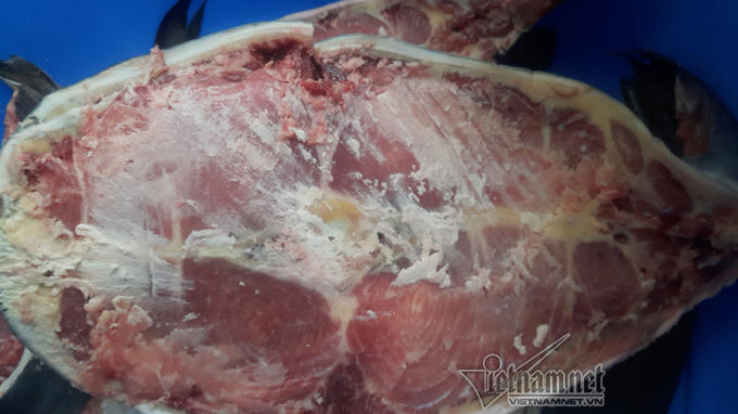 Đại gia H&agrave; Nội xẻ thịt thủy qu&aacute;i 120kg đ&atilde;i kh&aacute;ch ng&agrave;y tết