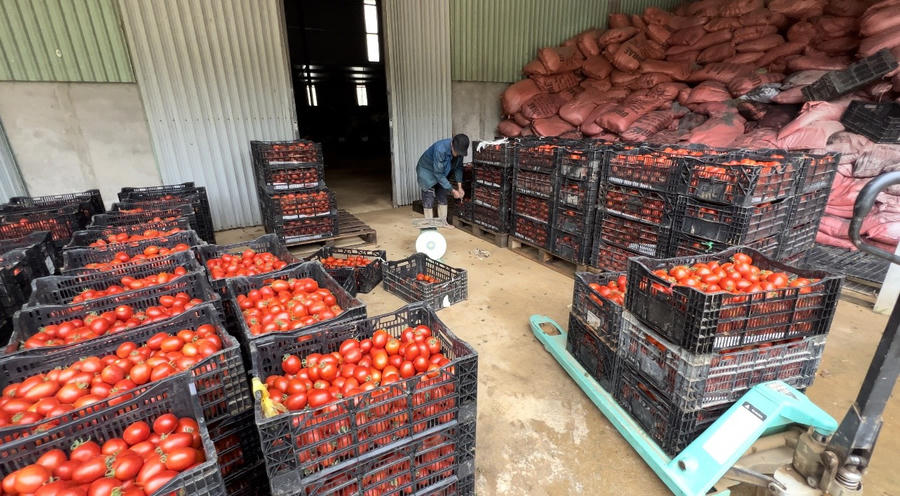 z4696655326456_b7dd610a23a84b506bd126b5f78787eb