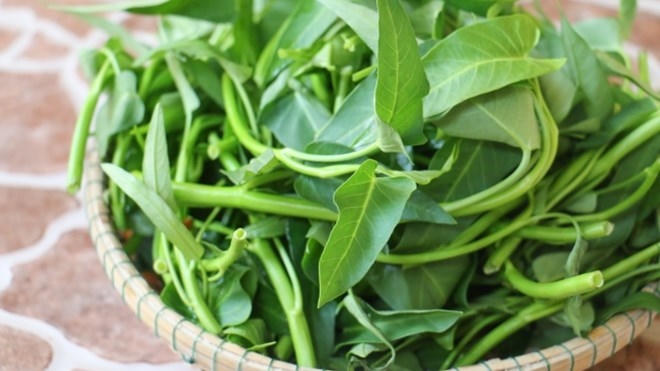 Rau muống là loại rau dẫn đầu trong nhóm rau ăn lá có nguy cơ gây ngộ độc thực phẩm cao, chứa rất nhiều thuốc kích thích, thuốc trừ sâu.
