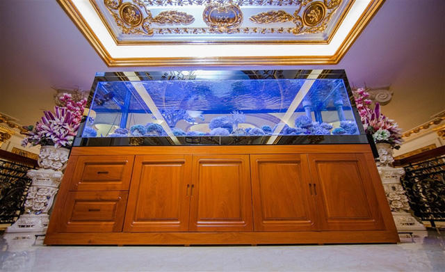 Si&ecirc;u biệt thự của c&aacute;c nữ đại gia Việt khiến dinh thự của