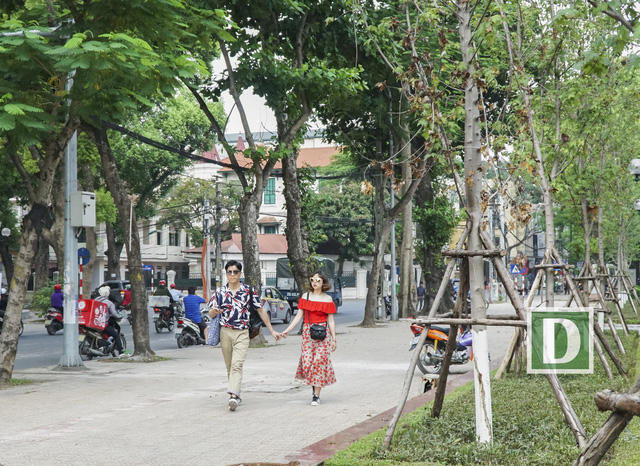 Chị Vũ Thu Trang – chủ quán cà phê trên đường Thanh Niên chia sẻ: “Đợt nắng nóng vừa qua đã đốt nóng mọi thứ. Cây phong lá đỏ không phải là ngoại lệ. Đợt mới trồng tôi thấy cây phát triển tươi tốt, lá xanh mượt, nhưng gần đây lá cây bắt đầu có hiện tượng bị suy kiệt