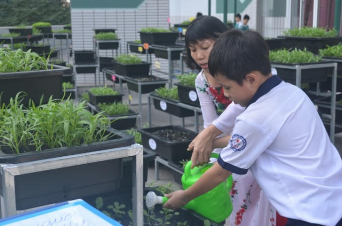 Vườn rau như là sân chơi cho những bé tập làm quen với cuộc sống đời thường.