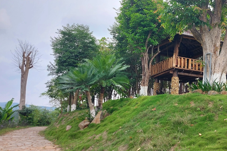 Đường bê tông nội bộ được xây dựng ngay trên đất nông nghiệp.