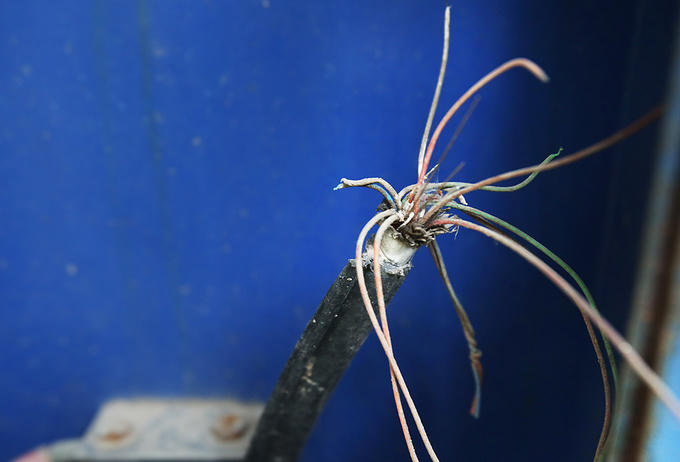 Bó dây cáp lộ ra trên mặt đất.