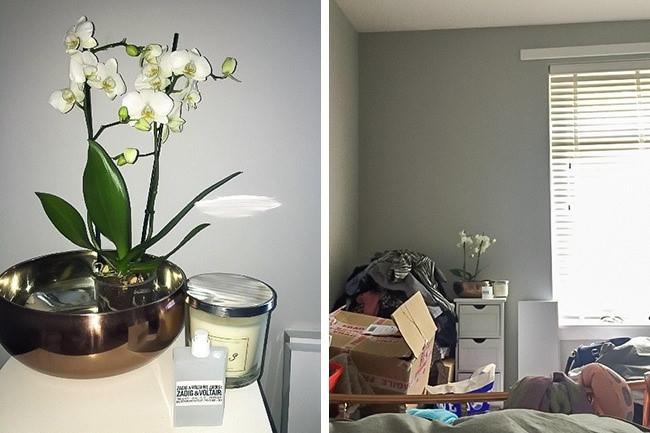 Ảnh trên mạng ít khi phản ánh đúng thực tế trong cuộc sống. Ảnh: Jaye‏.