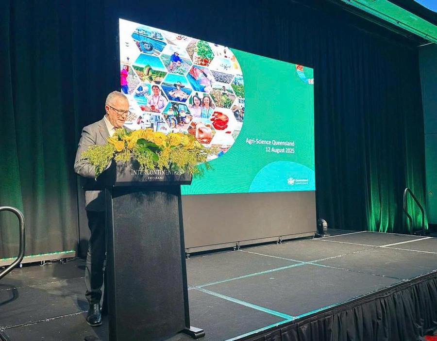 Các cơ quan quản lý về nông nghiệp, đầu tư của bang Queensland (Australia) đã cùng nhau trao đổi những nội dung liên quan đến khả năng chuyển giao công nghệ.