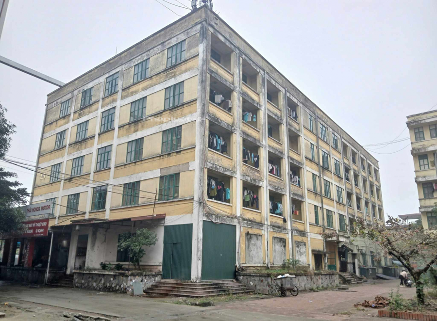 Công ty TNHH MTV Quản lý và phát triển nhà Hà Nội thiếu trách nhiệm trong việc quản lý, khai thác, vận hành diện tích tầng 1 khu nhà ở này. Theo đó, từ năm 2009 đến năm 2016, Công ty nhà Hà Nội đã tự ý ký hợp đồng cho các tổ chức, cá nhân thuê đối với diện tích tầng 1 hơn 10.000m2/12.400m2 là vi phạm quy định về quyền quyết định người được thuê nhà ở xã hội thuộc sở hữu Nhà nước.