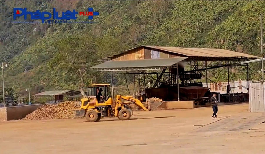 z5023399067721_76d9b87de836981928e1aa306104685d