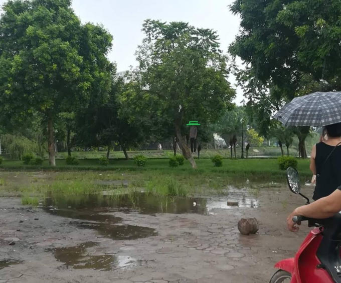 Người đàn ông treo cổ trên cây bên hồ Đền Lừ.