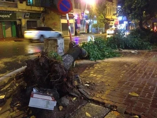 Ngay từ chiều qua 18/8 tại Hà Nội đã có mưa to và gió giật mạnh. Trận mưa giông đã khiến nhiều tuyến phố ngập sâu cục bộ cùng với đó là cây đổ la liệt. Ảnh: Nguyễn Hưởng.