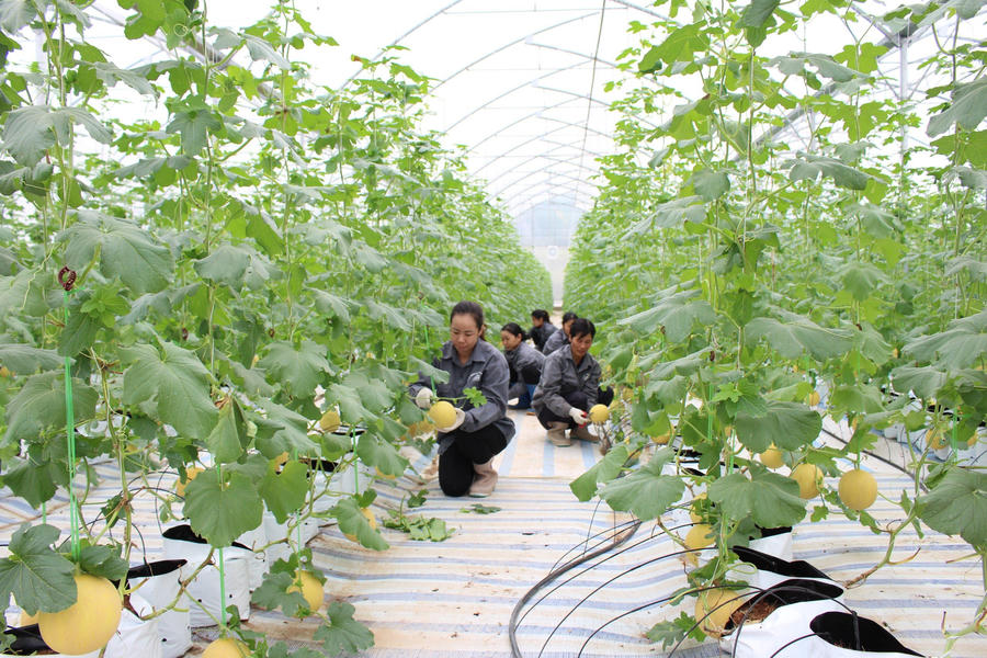 z5174959543934_f3ab6e7f80b53c2f6792c9a79b700776