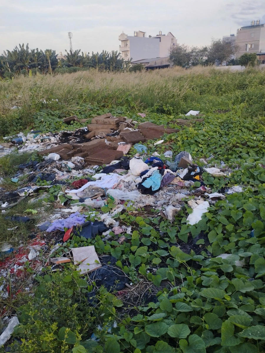 Sau 20 năm, dự án bỏ hoang không triển khai, trở thành bãi rác.