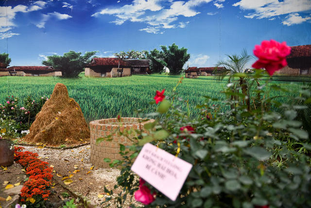 Một góc vườn hồng mang chủ để đồng quê Việt Nam, Hoa hồng được kết hợp với cọ rơm, sông suối ...làm nổi lên những nét đặc sắc của làng quê Việt Nam.