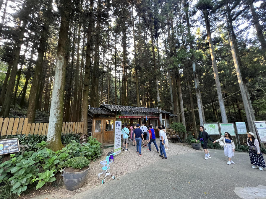 z4746157386811_02d42d1ac9f95f24e24b41d41ca66148