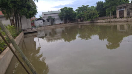 Hiện trường ao ao nằm trên địa bàn làng Sở Hạ nơi xày ra sự việc (ảnh: Báo Lao Động)